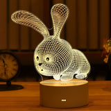 3D Acrylic Led Lamp